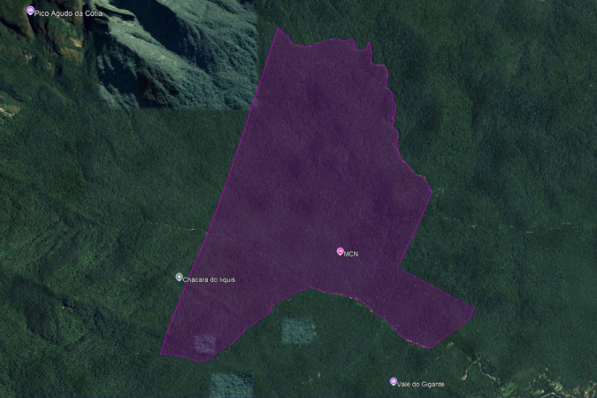 Ampliação do Parque Roberto Ribas Lange reforça proteção ambiental no litoral do Paraná