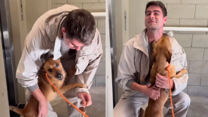 Rafael Vitti celebra reencontro com cachorro vira-lata de Caramelo após um ano