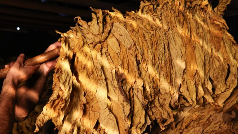 Negociação do preço do tabaco termina sem acordo na primeira rodada