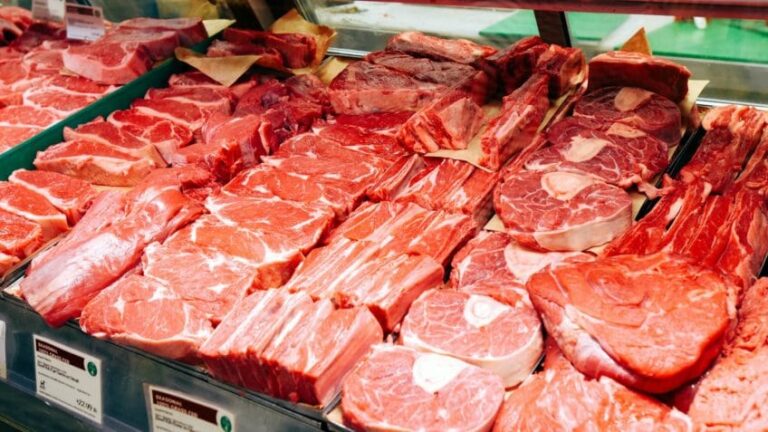 Brasil avança para abertura do mercado de carne bovina na Coreia do Sul