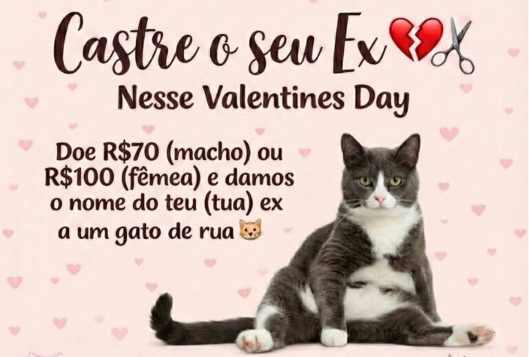 campanha divertida incentiva castração para controle de animais