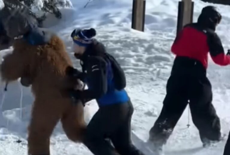 Chewbacca brasileiro sofre ataque com bastões de esqui em vídeo viral