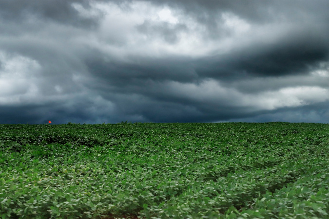 Tempestades intensas atingem Campos Gerais e Norte do Paraná com avanço para o Leste