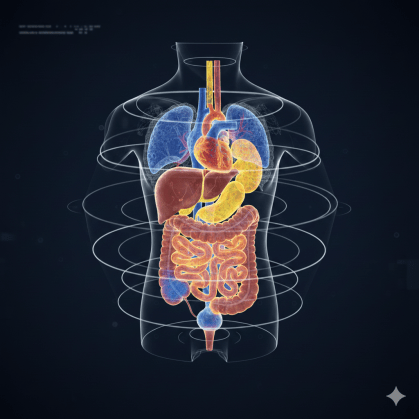Novo exame imagem corpo humano em 3d com cores reais