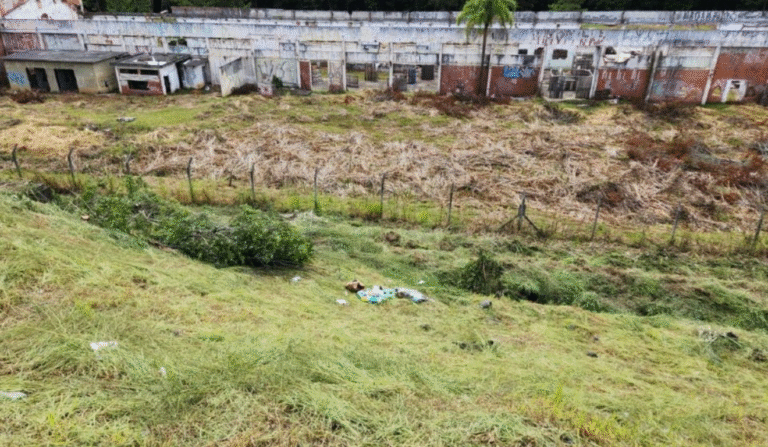 Crânio humano encontrado em terreno de antiga fábrica em Curitiba provoca investigação