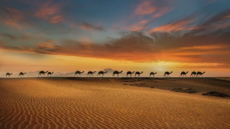 Por que a Arábia Saudita e os Emirados importam areia apesar do deserto