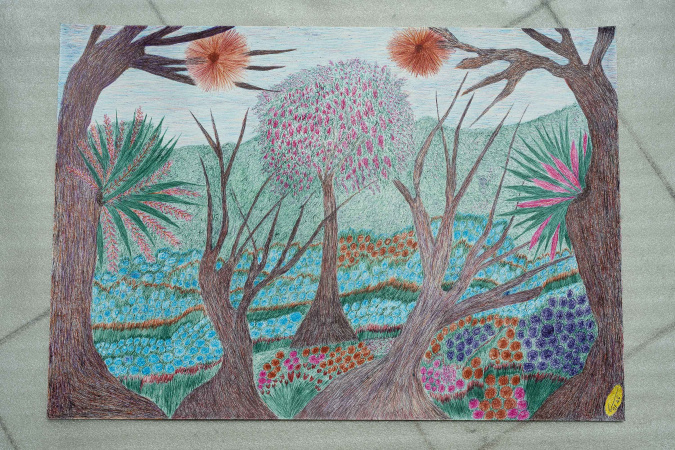 Marçal Marques expõe desenhos esferográficos em curadoria do Museu Casa Alfredo Andersen