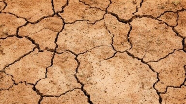 Inverno prolonga seca e agrava escassez hídrica na América do Norte
