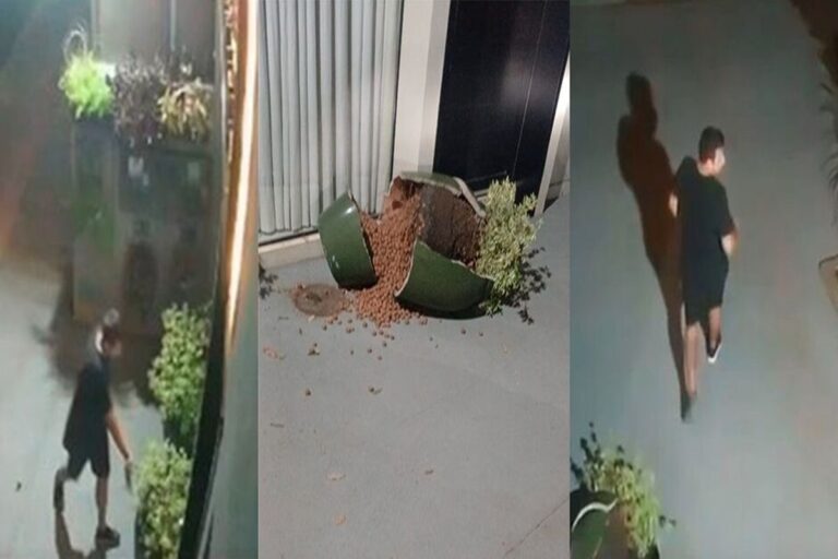 Quebra de vaso de R$ 1 mil gera busca por suspeito em Campo Grande
