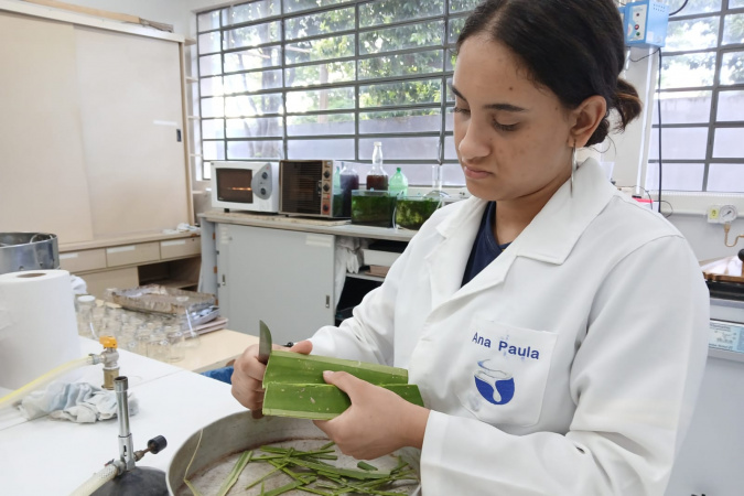 Projetos da rede estadual do Paraná brilham na Febrace 2025