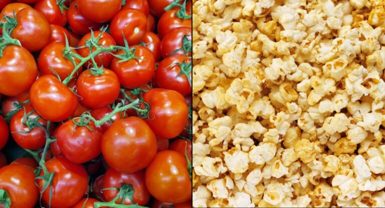 Tomates com aroma de pipoca com manteiga revolucionam a biotecnologia agrícola