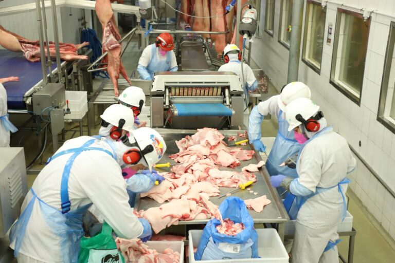 Paraná confirma liderança nacional no abate de frango em 2025
