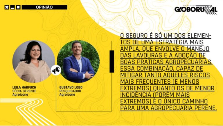 Seguro rural avança como alternativa para estabilidade da renda no campo