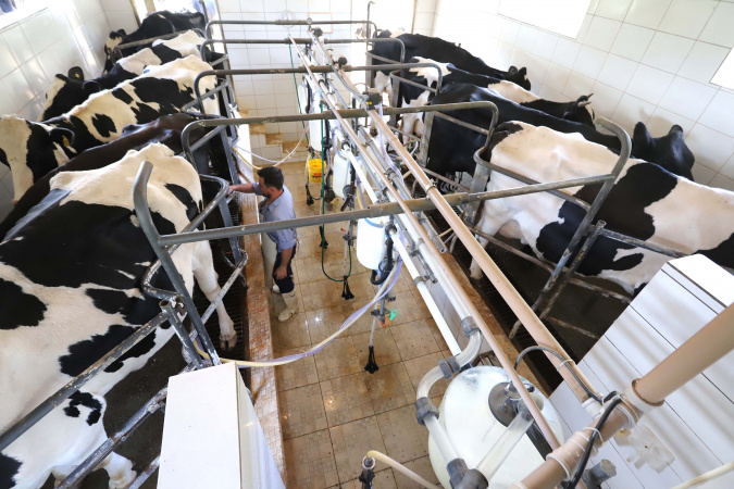Paraná registra crescimento recorde na produção agropecuária em 2025