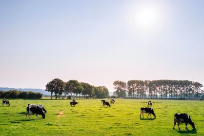 Acordo UE-Mercosul impulsiona agronegócio brasileiro em cenário global