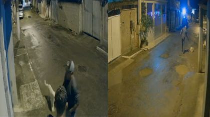 Polícia Prende Autor de Execução Cruel de Cachorro em Magé