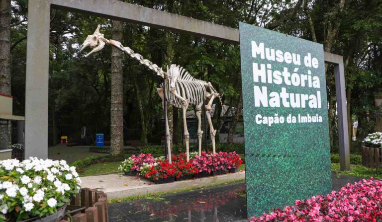 Oficina de pegadas no museu de Curitiba ensina biologia para crianças