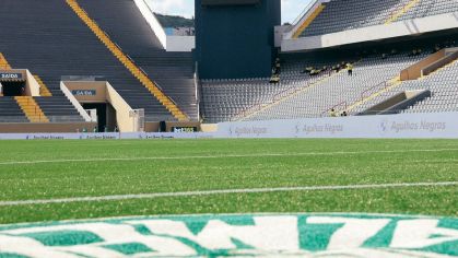 Palmeiras e Mirassol: escalações e onde assistir ao Paulistão 2026