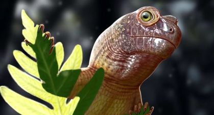 Crânio fossilizado de pararréptil revela ecossistema triássico no Rio Grande do Sul