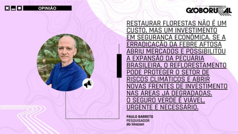 Restaurar florestas fortalece a segurança econômica no Brasil