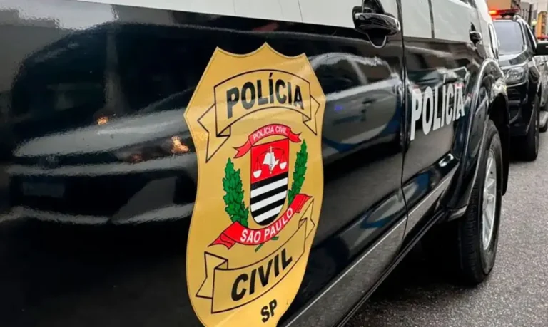polícia combate venda de ingressos falsos para shows em são paulo