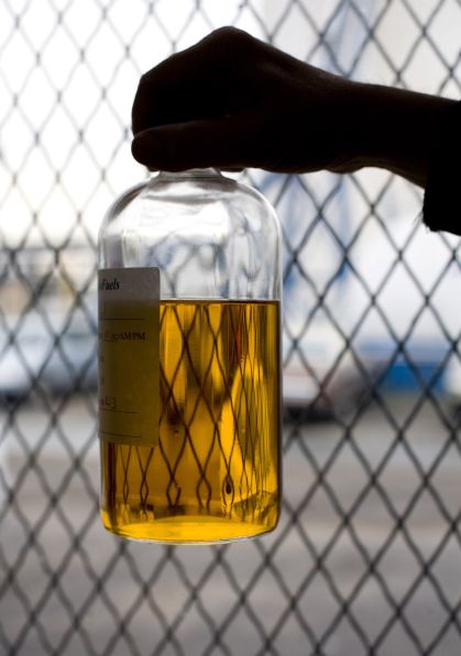 CNA defende aumento da mistura de biodiesel para 17% diante da alta dos preços do petróleo
