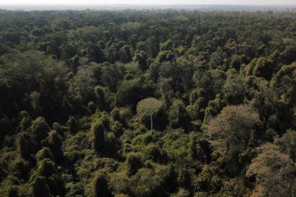 Bndes e Petrobras avançam com 16 propostas para créditos de carbono