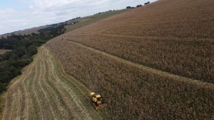 AgRural eleva previsões para safra de soja e milho no Brasil 2025/26