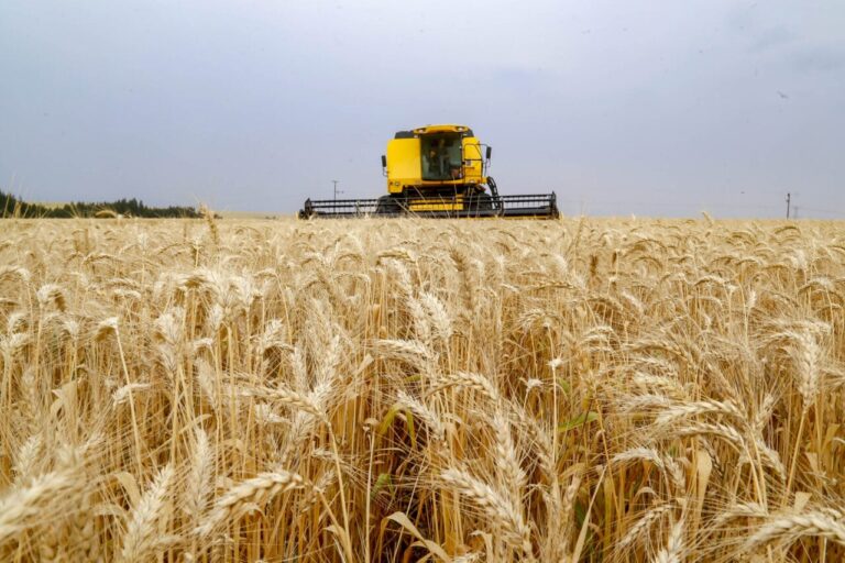 Brasil destaca cooperativas entre as 300 maiores do mundo com forte presença em Campos Gerais