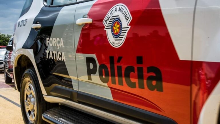 Adolescentes São Apreendidos Após Arrastão em Farmácia na Zona Norte de São Paulo