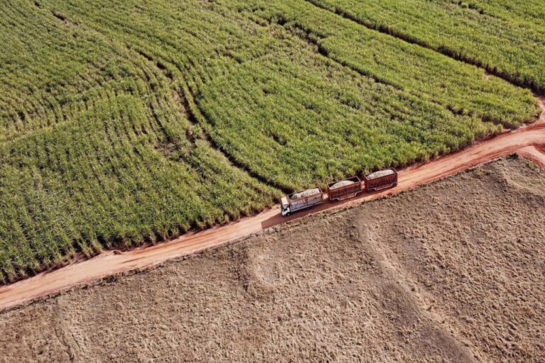 Safra de soja e milho no Paraná avança entre desafios climáticos