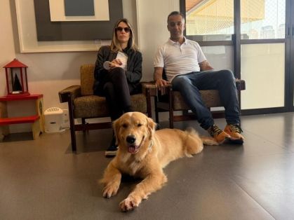 Cães treinados detectam variações de glicose e antecipam crises em diabéticos