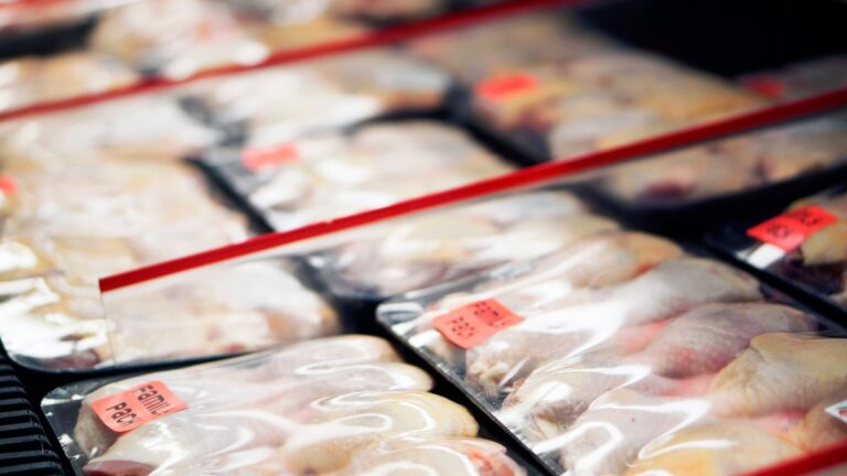 Preço do frango registra queda consecutiva e afeta setor avícola
