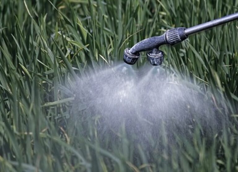 Bayer propõe acordo bilionário para resolver controvérsia do glifosato nos EUA