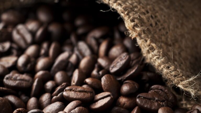 Café e cacau iniciam semana em queda na bolsa de Nova York