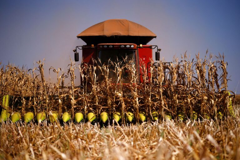 Renda média no Centro-Oeste supera Sul e Sudeste impulsionada pelo agronegócio em 2025