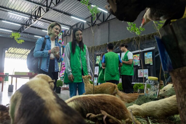 Exposição sensorial reforça educação ambiental em Ponta Grossa