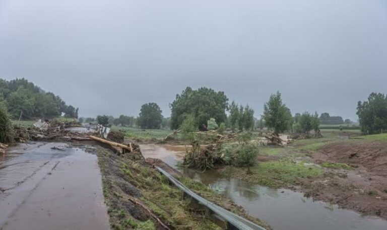 Nova Zelândia enfrenta tempestade que paralisa transporte e causa apagão