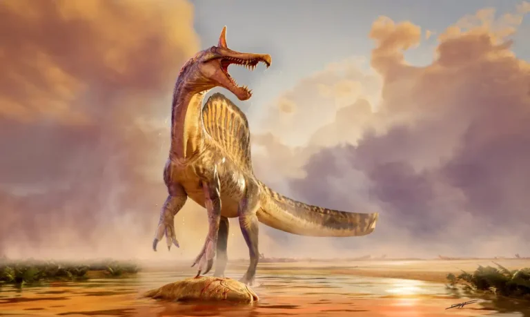 Fósseis do spinosaurus mirabilis revelam dinossauro gigante e adaptado ao ambiente aquático no Níger