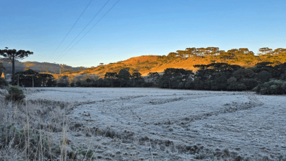 Sul do Brasil enfrenta primeiros dias de frio intenso em 2026 com alerta do Inmet