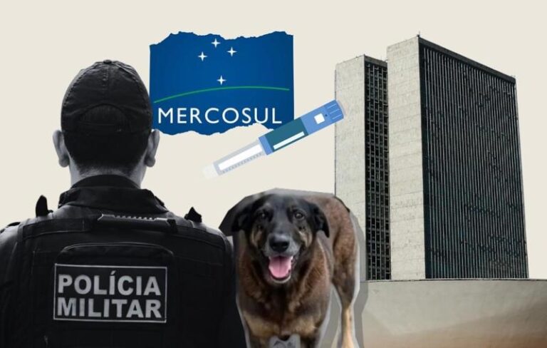 Projetos prioritários avançam na Câmara depois do Carnaval