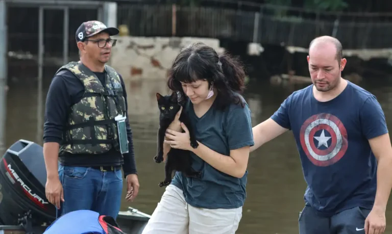 Senado aprova política de proteção a animais resgatados em desastres