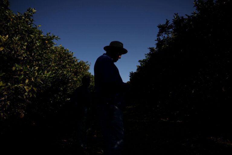 Inadimplência no agronegócio brasileiro sobe para 8,2% em 2025