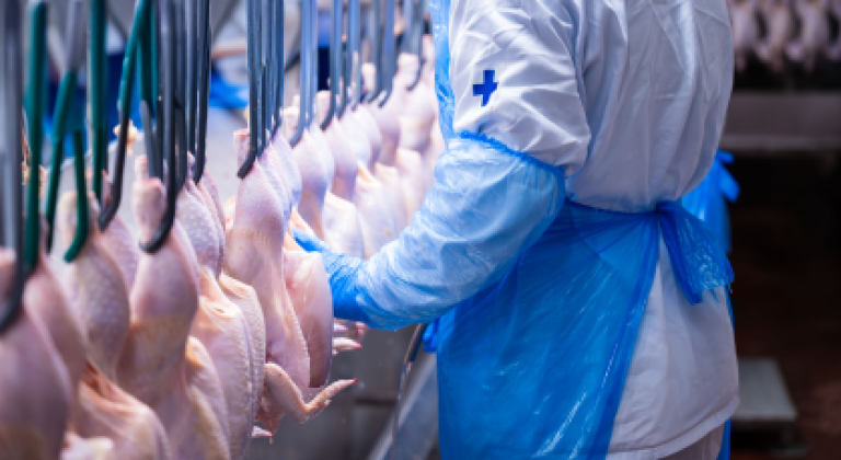 Mbrf amplia contrato com Arábia Saudita e inclui carne bovina nas exportações