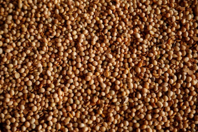 Importações de soja pela China crescem em abril acima de 2025
