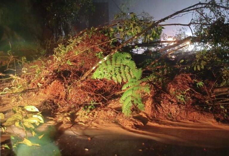 Defesa civil alerta para alto acumulado de chuva no litoral de São Paulo