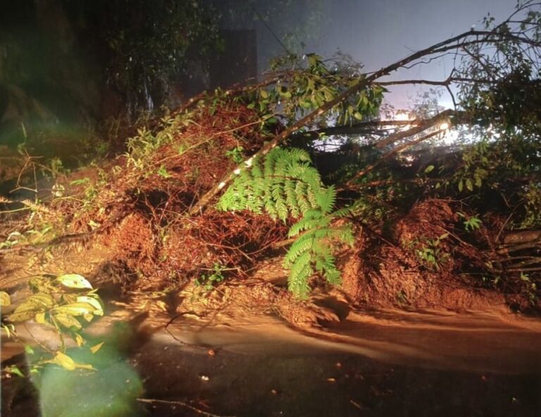 Rodovias do litoral norte de São Paulo são interditadas após deslizamentos causados por chuvas intensas
