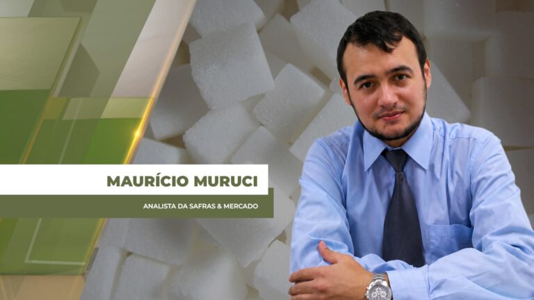 Açúcar registra queda alinhada à baixa do petróleo e mercado monitora superávit potencial