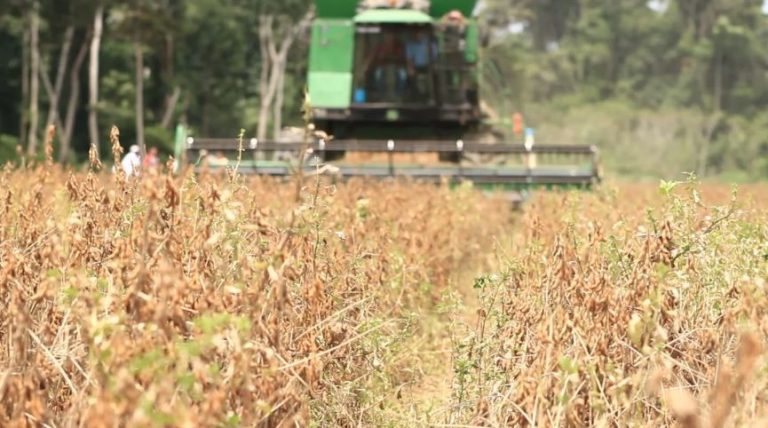 Indústria e agro avaliam impactos bilionários com fim da escala 6x1