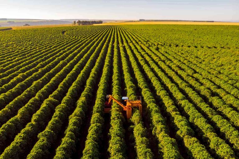 Avanço da sofisticação financeira impulsiona o agronegócio brasileiro